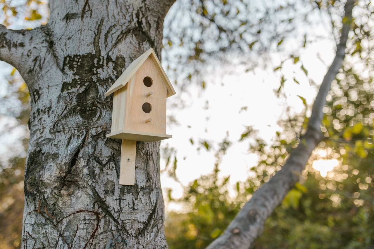 security cameras can be hidden in birdhouses